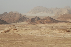 The Sinai Desert - Wikepedia
